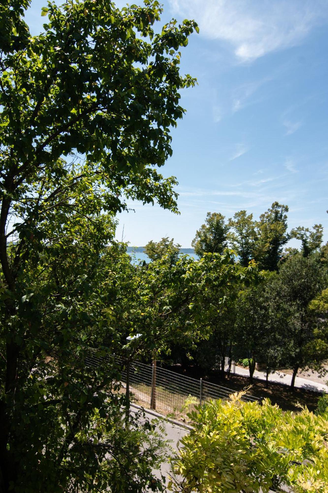 Forgotten Garden Apartments&rooms 3*